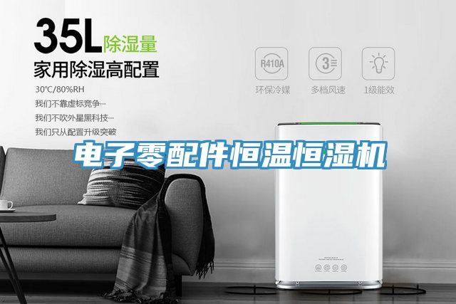 电子零配件恒温恒湿机