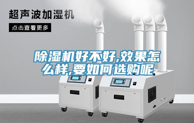 除湿机好不好,效果怎么样,要如何选购呢