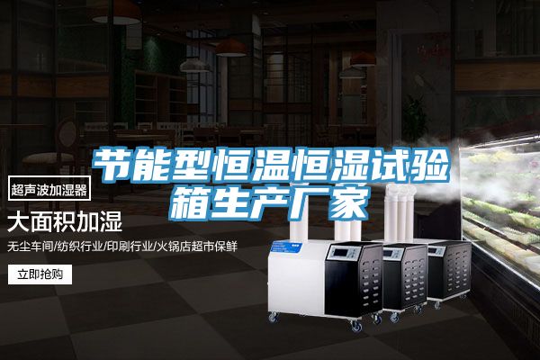 节能型恒温恒湿试验箱生产厂家