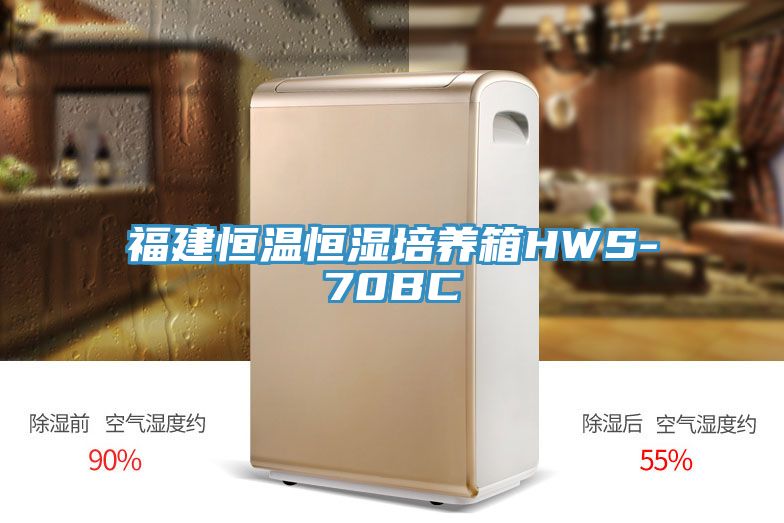 福建恒温恒湿培养箱HWS-70BC