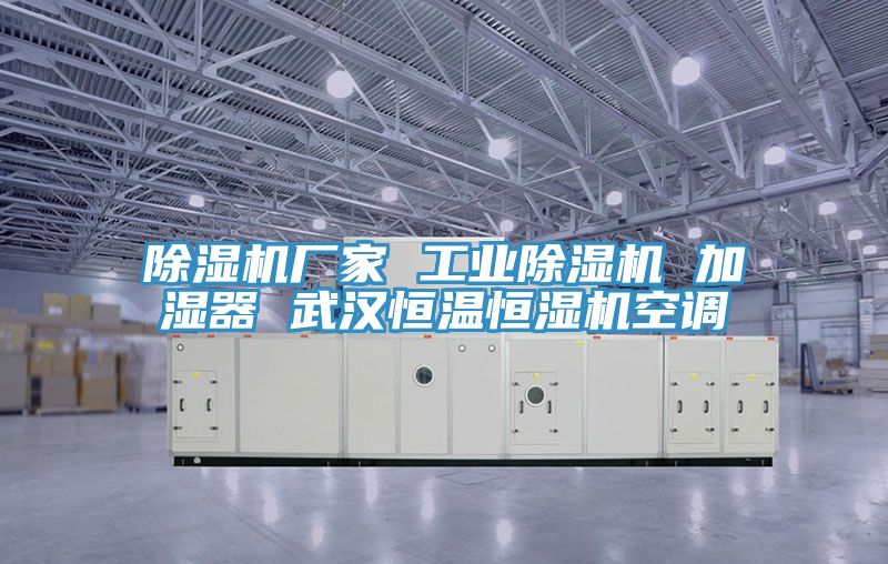 除湿机厂家 工业除湿机 加湿器 武汉恒温恒湿机空调