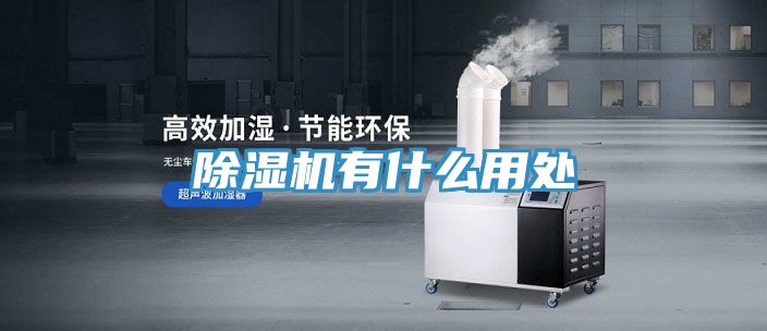 除湿机有什么用处