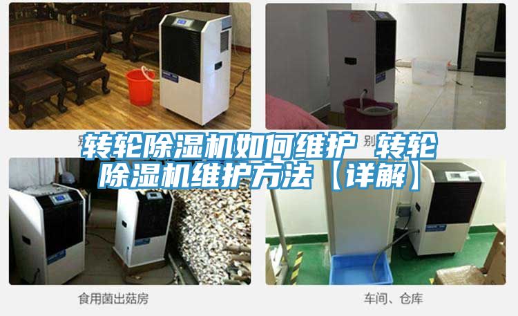转轮除湿机如何维护 转轮除湿机维护方法【详解】