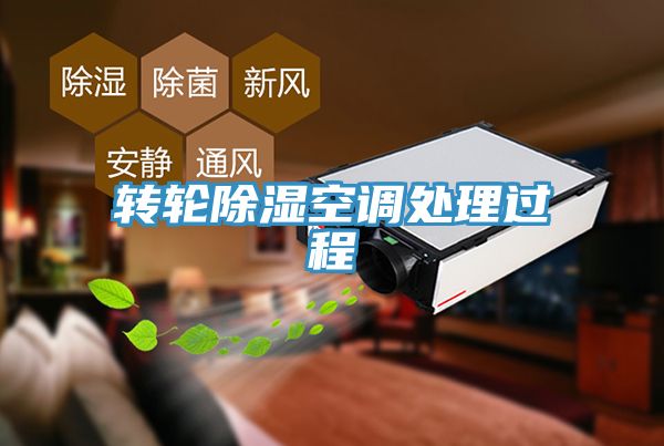 转轮除湿空调处理过程