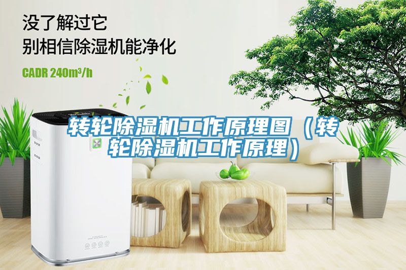 转轮除湿机工作原理图（转轮除湿机工作原理）
