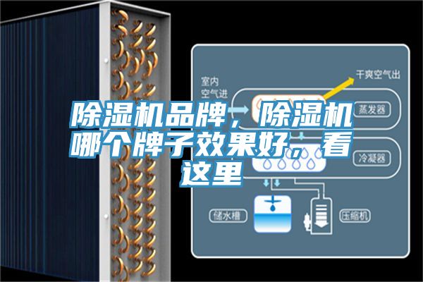 除湿机品牌，除湿机哪个牌子效果好，看这里
