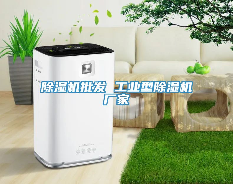 除湿机批发 工业型除湿机厂家
