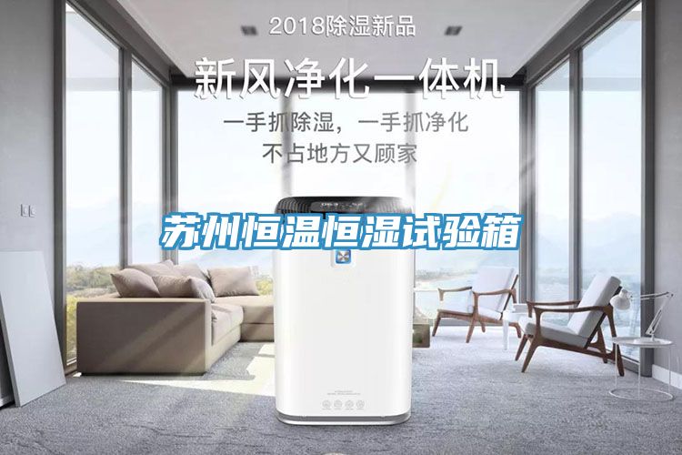 苏州恒温恒湿试验箱