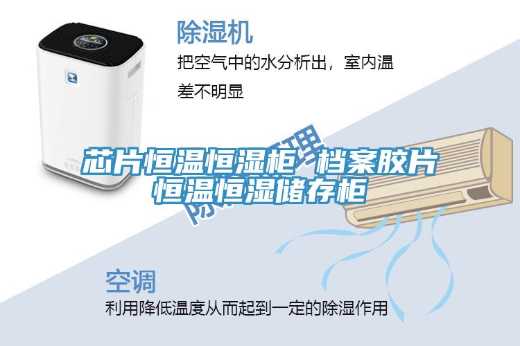 芯片恒温恒湿柜 档案胶片恒温恒湿储存柜
