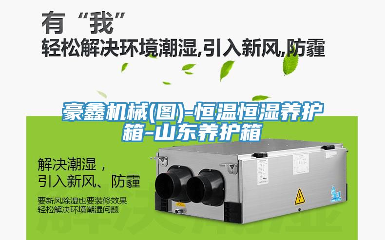 豪鑫机械(图)-恒温恒湿养护箱-山东养护箱