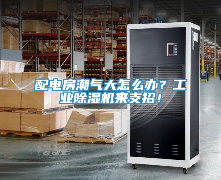 配电房潮气大怎么办？工业除湿机来支招！