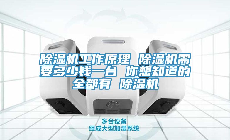 除湿机工作原理 除湿机需要多少钱一台 你想知道的全都有 除湿机