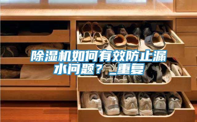 除湿机如何有效防止漏水问题？_重复
