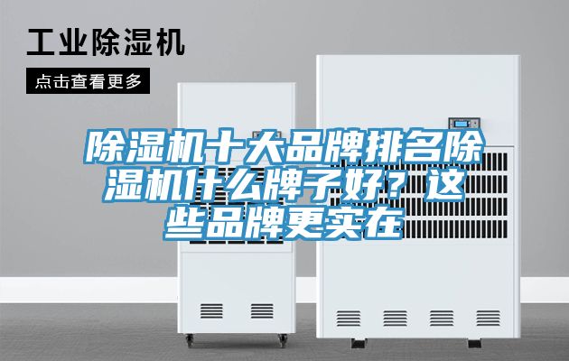 除湿机十大品牌排名除湿机什么牌子好？这些品牌更实在