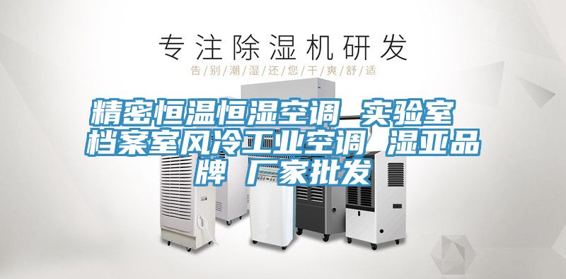 精密恒温恒湿空调 实验室 档案室风冷工业空调 湿亚品牌 厂家批发