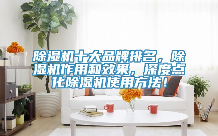 除湿机十大品牌排名，除湿机作用和效果，深度点化除湿机使用方法！
