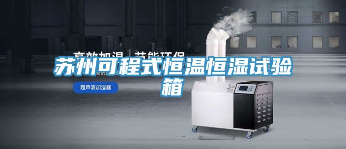 苏州可程式恒温恒湿试验箱