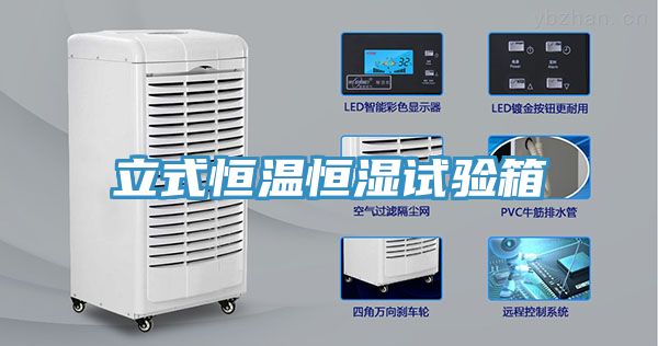 立式恒温恒湿试验箱