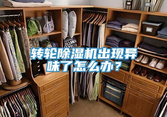 转轮除湿机出现异味了怎么办？
