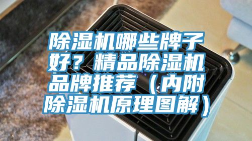 除湿机哪些牌子好？精品除湿机品牌推荐（内附除湿机原理图解）