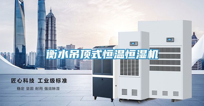 衡水吊顶式恒温恒湿机