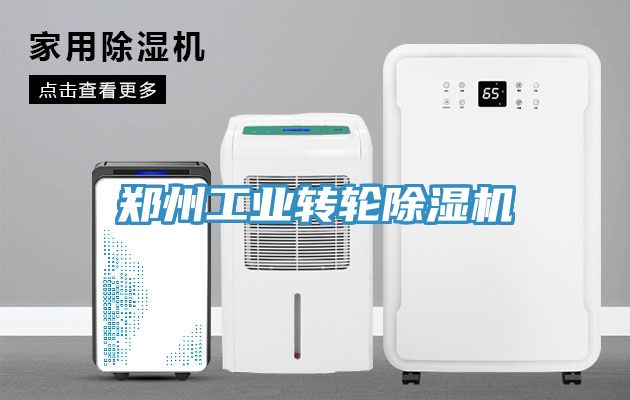 郑州工业转轮除湿机