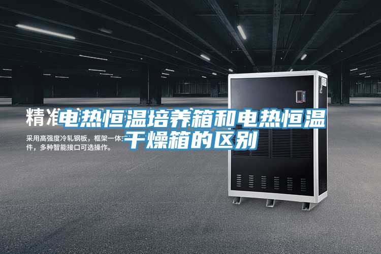 电热恒温培养箱和电热恒温干燥箱的区别