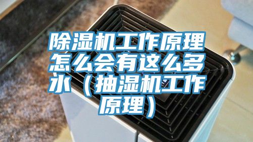 除湿机工作原理怎么会有这么多水（抽湿机工作原理）