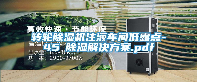转轮除湿机注液车间低露点-45℃除湿解决方案.pdf