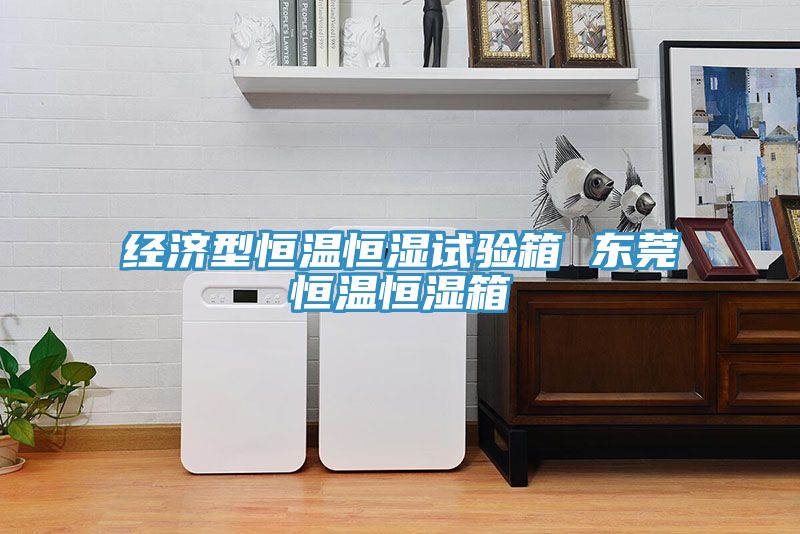经济型恒温恒湿试验箱 东莞恒温恒湿箱