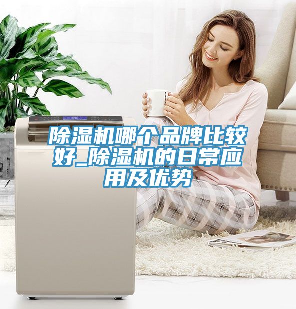 除湿机哪个品牌比较好_除湿机的日常应用及优势