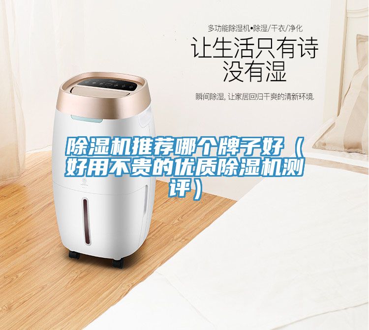 除湿机推荐哪个牌子好（好用不贵的优质除湿机测评）