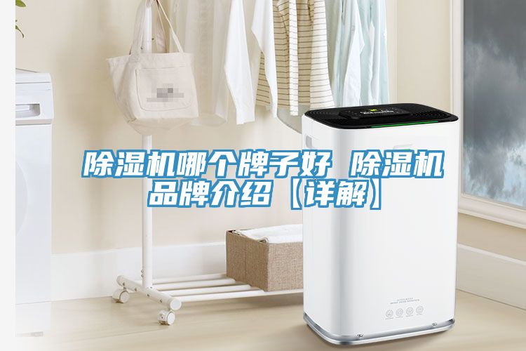 除湿机哪个牌子好 除湿机品牌介绍【详解】