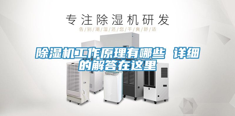 除湿机工作原理有哪些 详细的解答在这里