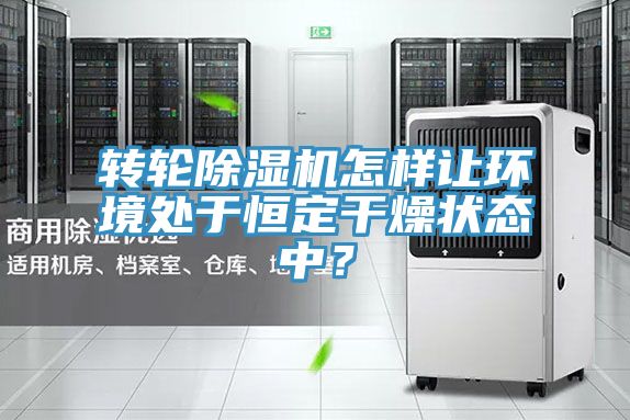 转轮除湿机怎样让环境处于恒定干燥状态中？