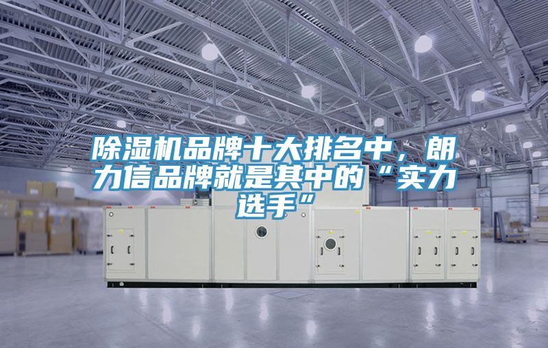 除湿机品牌十大排名中，朗力信品牌就是其中的“实力选手”