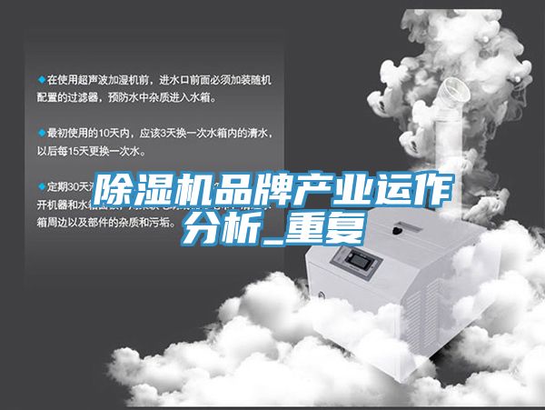 除湿机品牌产业运作分析_重复