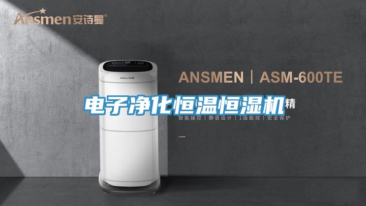 电子净化恒温恒湿机