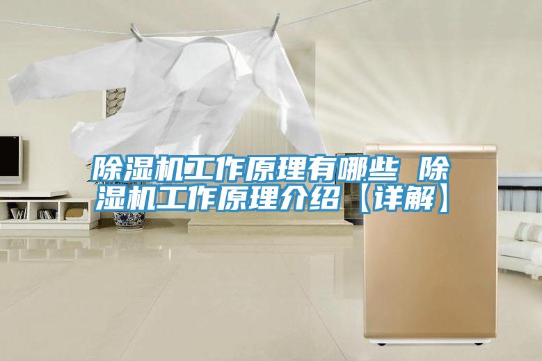 除湿机工作原理有哪些 除湿机工作原理介绍【详解】
