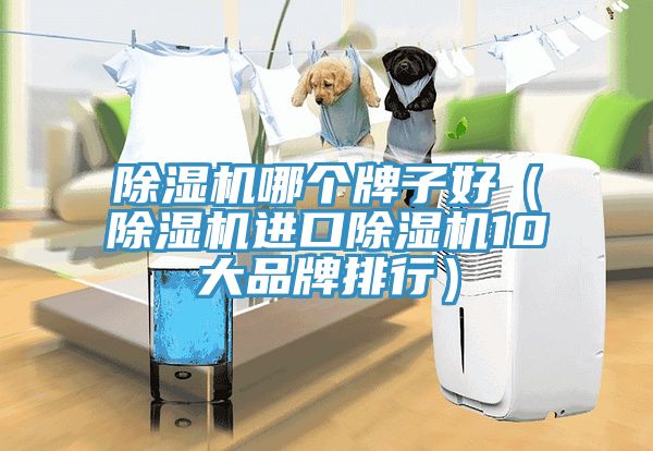 除湿机哪个牌子好（除湿机进口除湿机10大品牌排行）