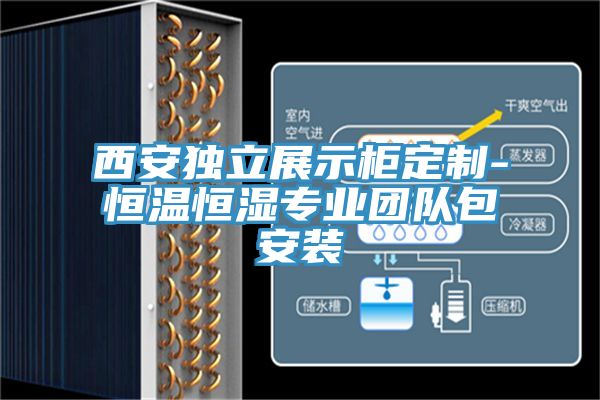 西安独立展示柜定制-恒温恒湿专业团队包安装