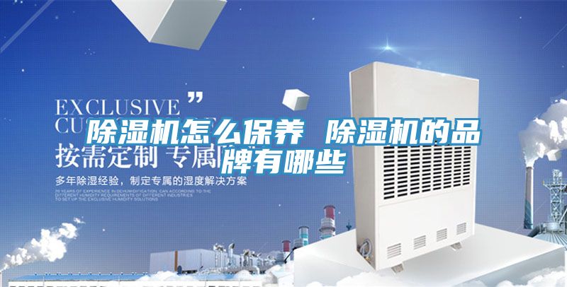 除湿机怎么保养 除湿机的品牌有哪些