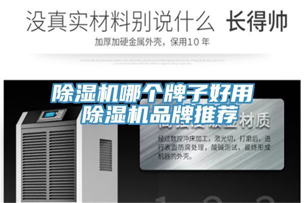 除湿机哪个牌子好用 除湿机品牌推荐