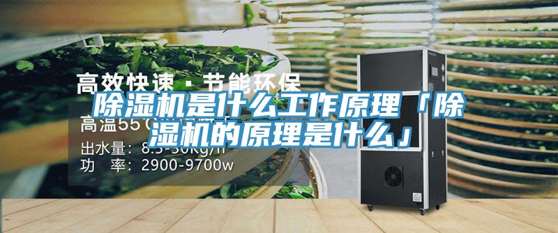 除湿机是什么工作原理「除湿机的原理是什么」