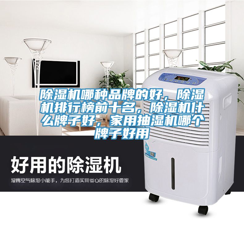 除湿机哪种品牌的好，除湿机排行榜前十名，除湿机什么牌子好，家用抽湿机哪个牌子好用
