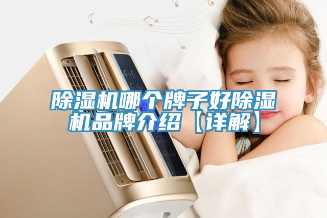 除湿机哪个牌子好除湿机品牌介绍【详解】