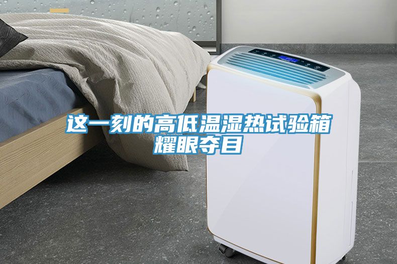 这一刻的高低温湿热试验箱耀眼夺目