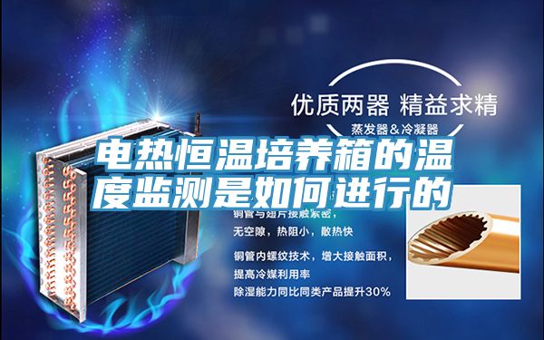 电热恒温培养箱的温度监测是如何进行的