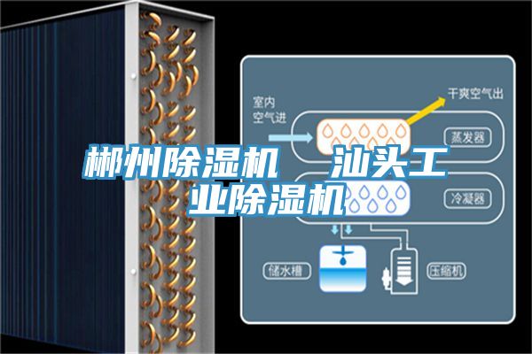 郴州除湿机  汕头工业除湿机