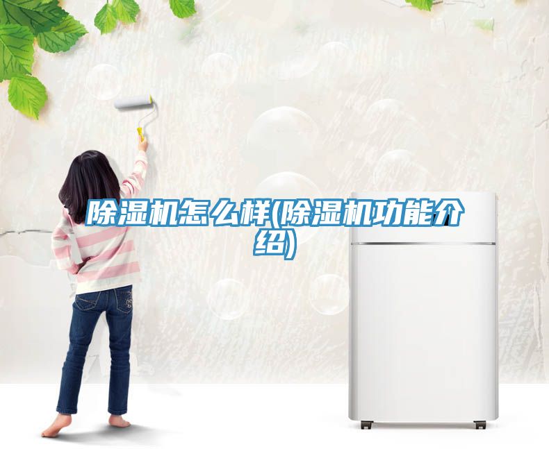 除湿机怎么样(除湿机功能介绍)